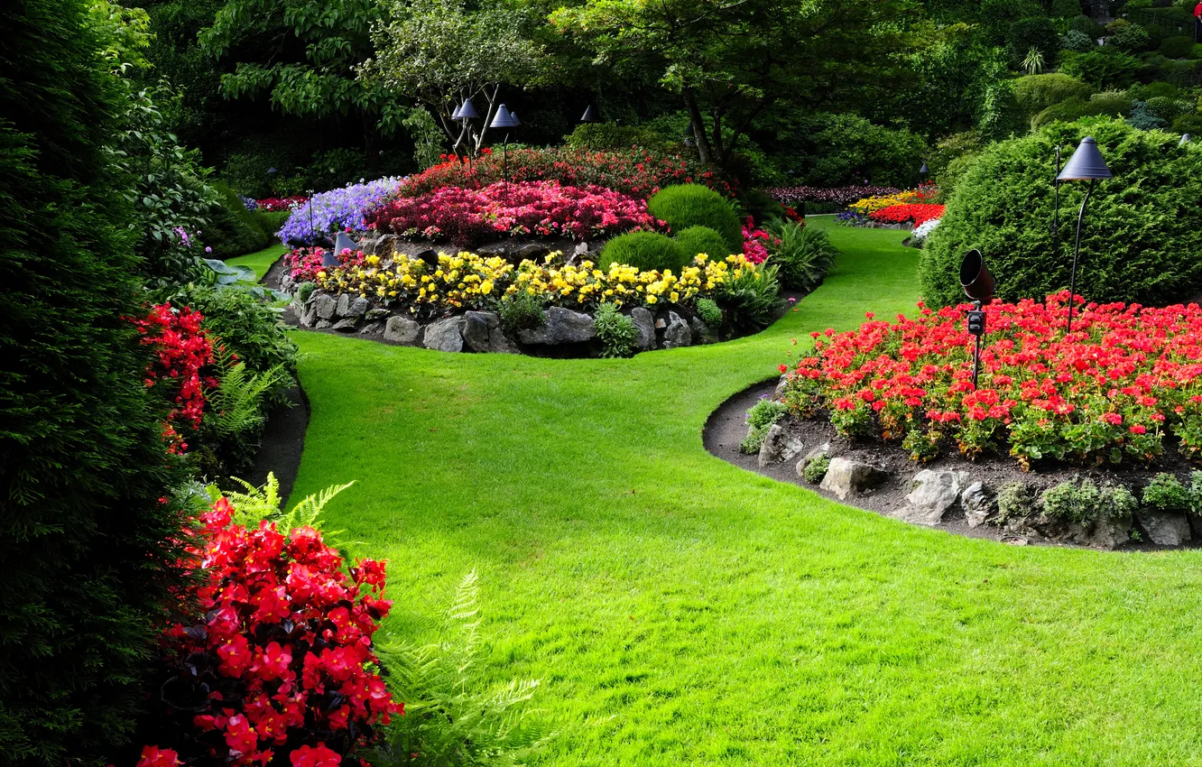 Фото обои зелень, трава, деревья, цветы, газон, сад, разноцветные, кусты