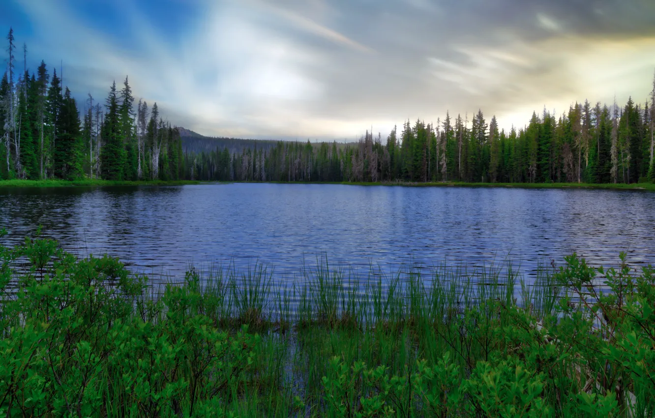 Фото обои United States, Oregon, lake, Belknap Springs, Luminar