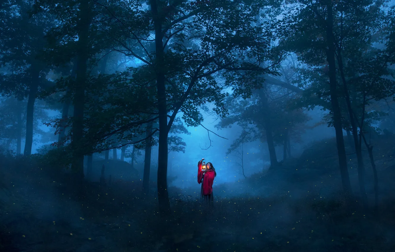 Фото обои лес, девушка, деревья, ночь, ситуация, фонарь
