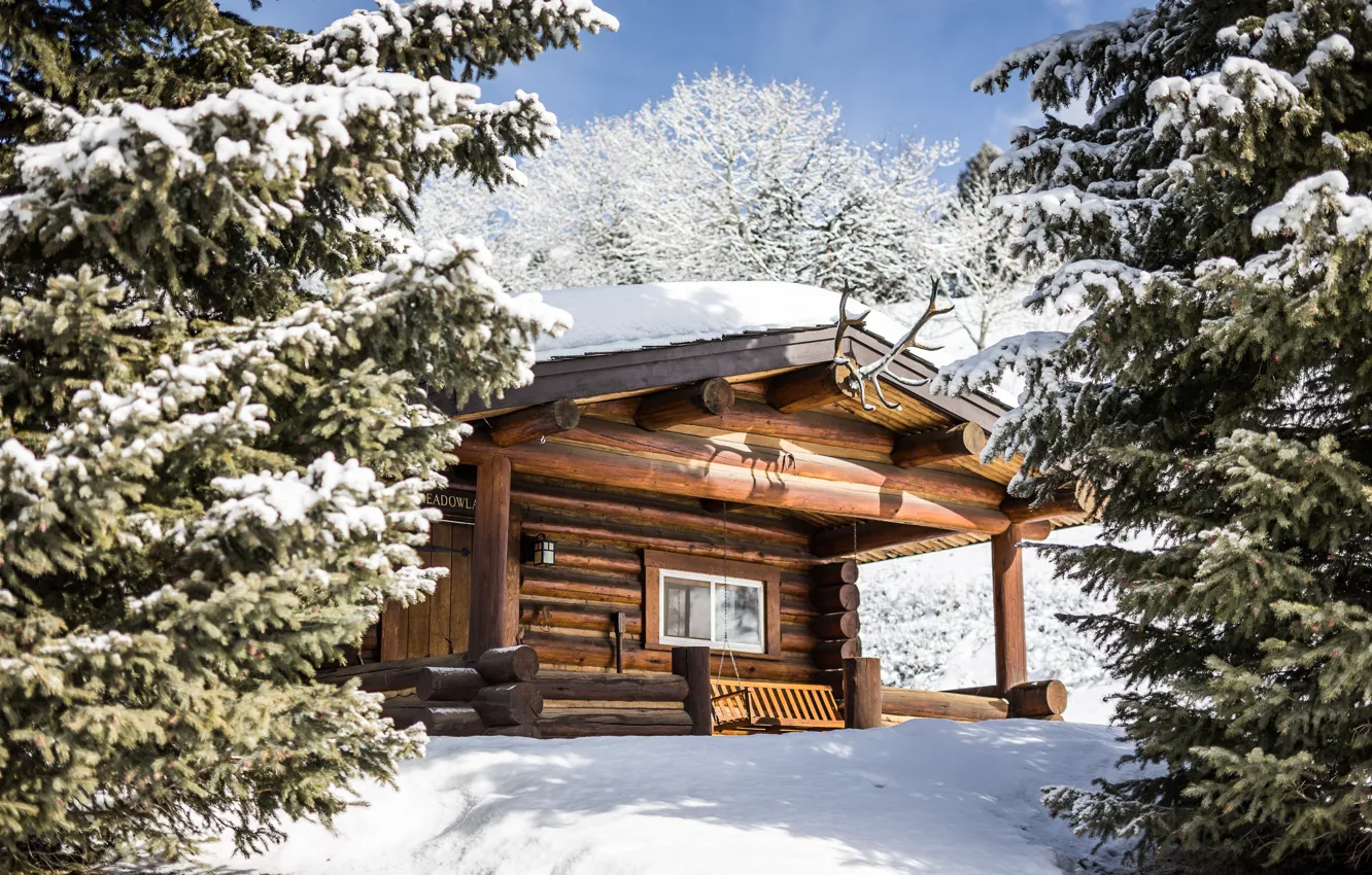 Фото обои Зима, Деревья, Снег, Дом, Монтана, Montana, Winter cabin, Зимняя хижина