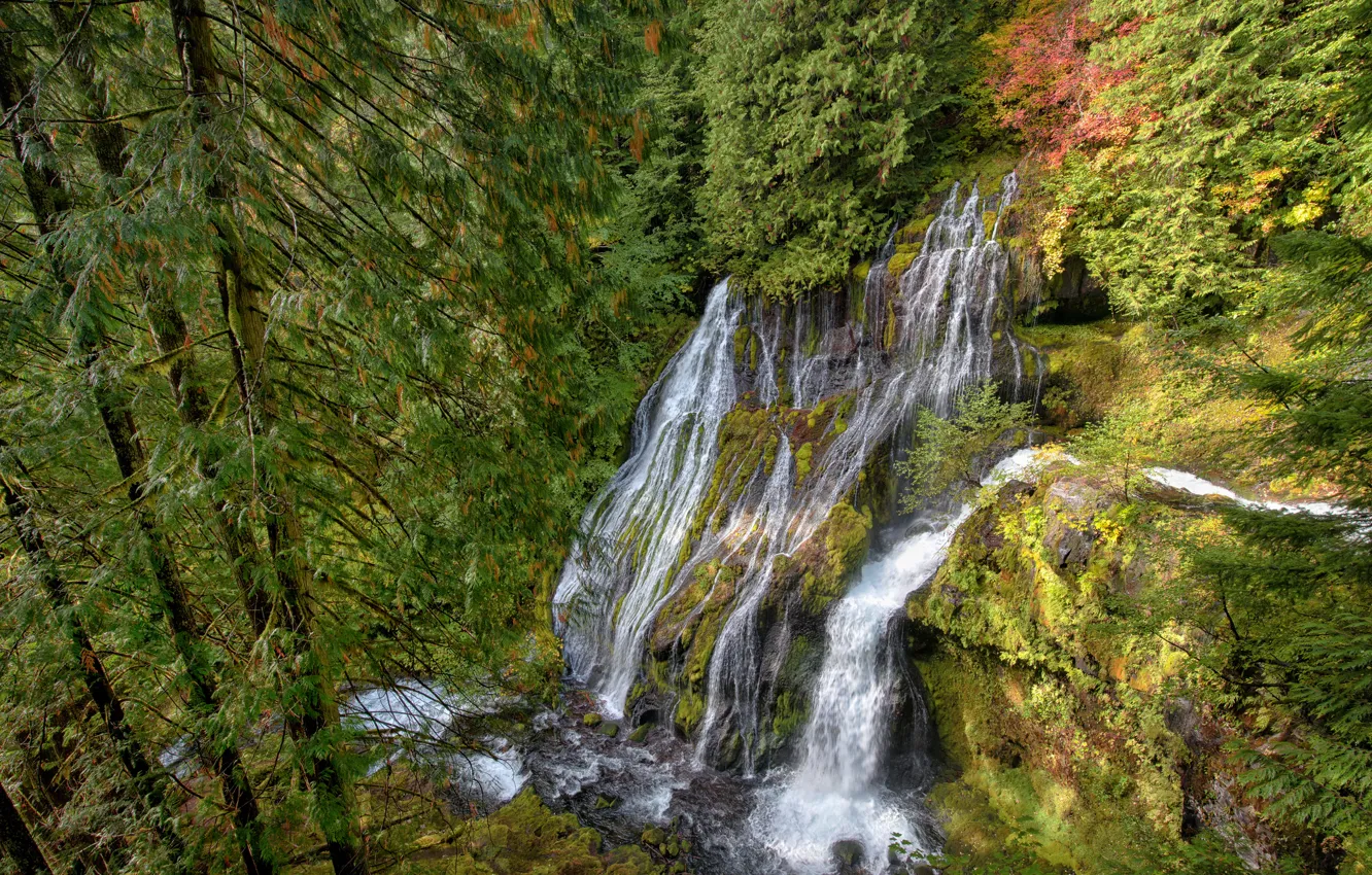 Фото обои осень, лес, природа, скала, камни, водопад