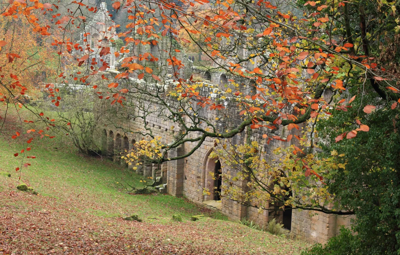 Фото обои Осень, Руины, Fall, Листва, Autumn, Trees, Ruins