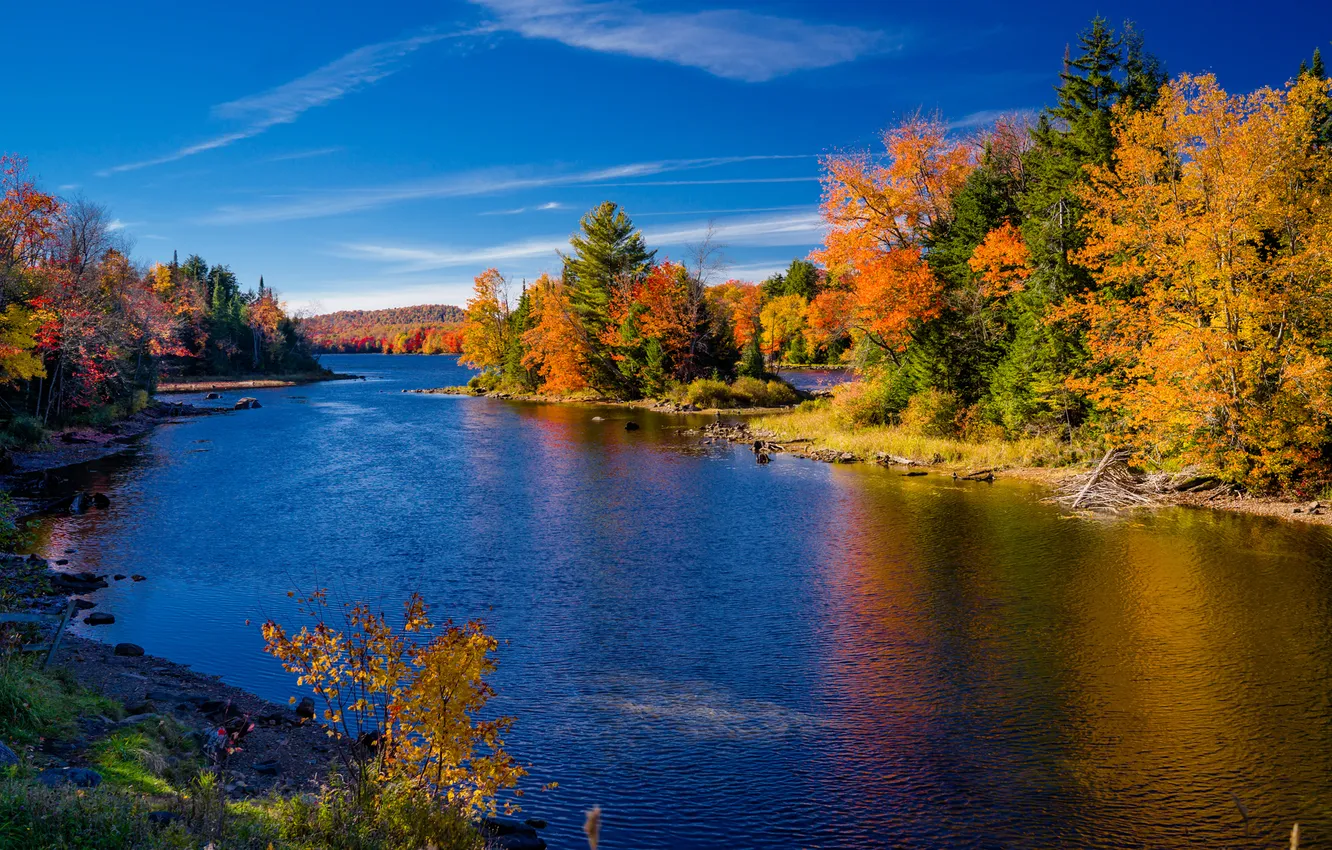 Фото обои осень, небо, деревья, река