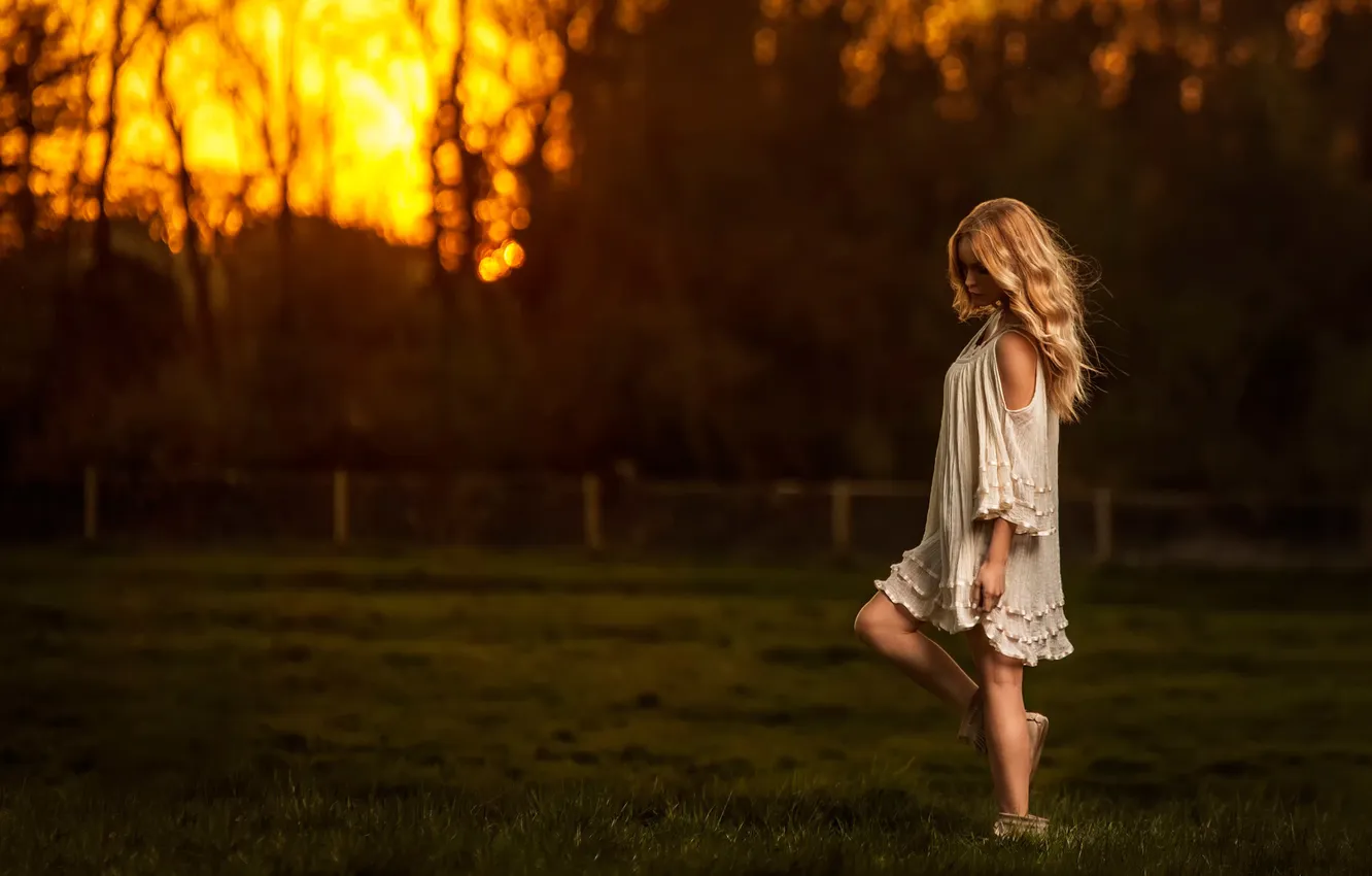 Фото обои поле, небо, девушка, закат, sunset