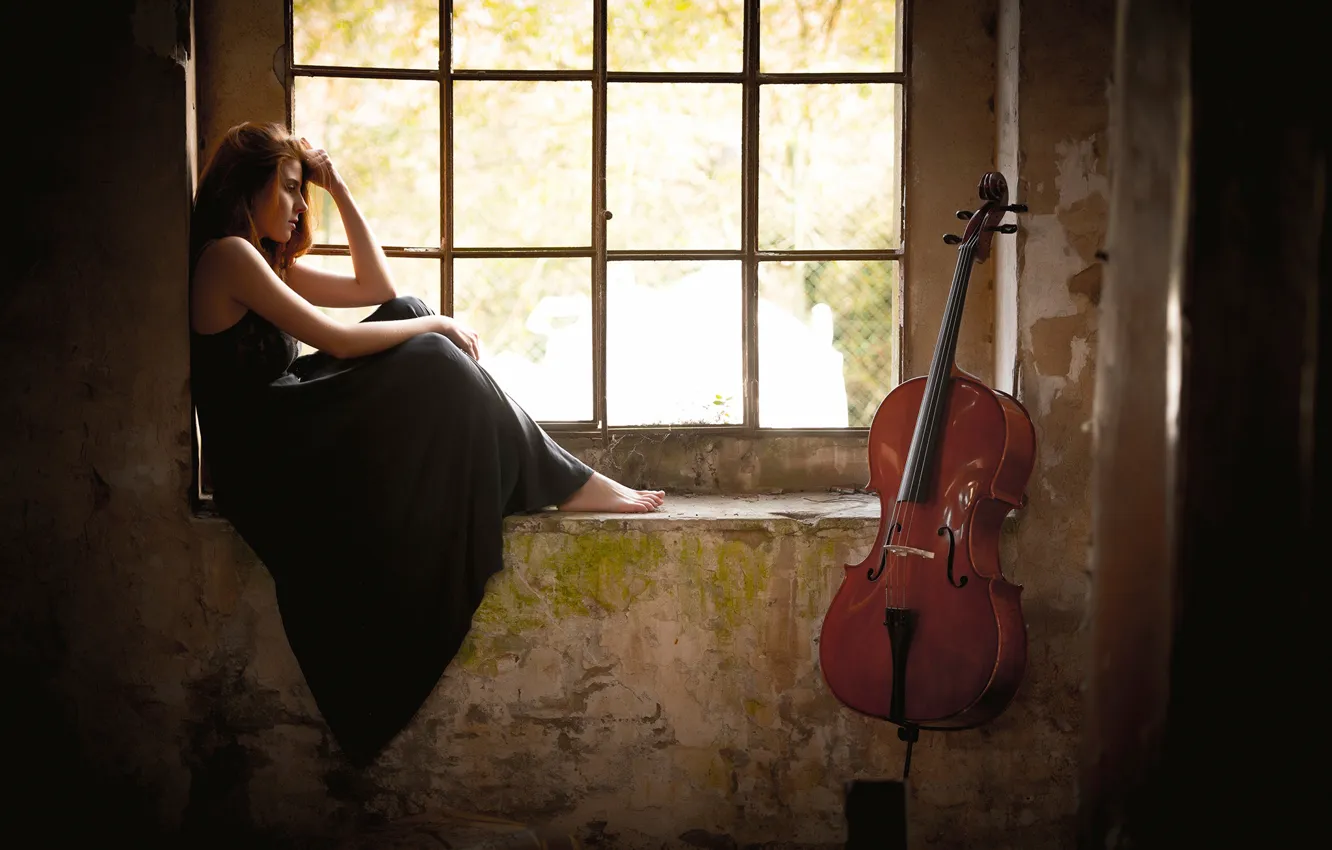 Фото обои девушка, окно, виолончель, Giada Gheri