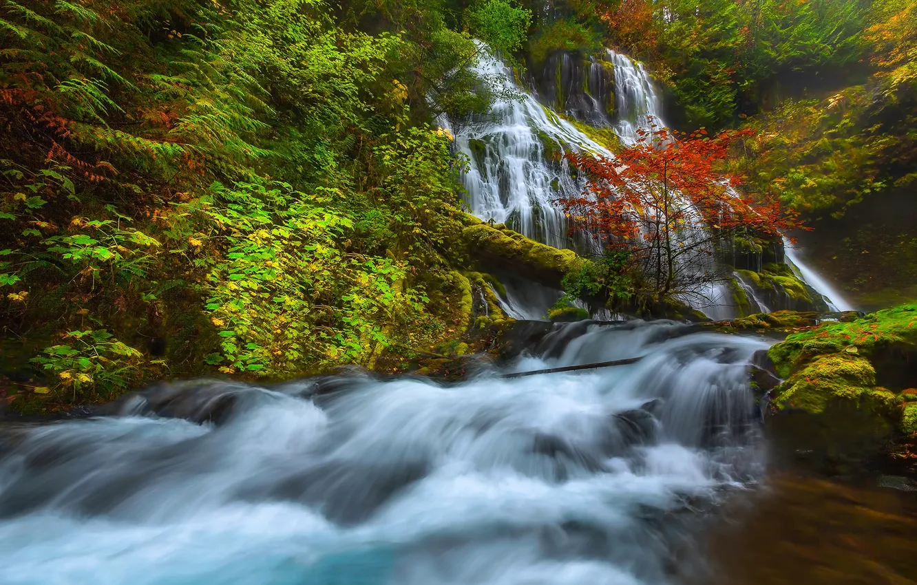 Фото обои осень, деревья, река, водопад, поток, США, штат Вашингтон, Скамейния