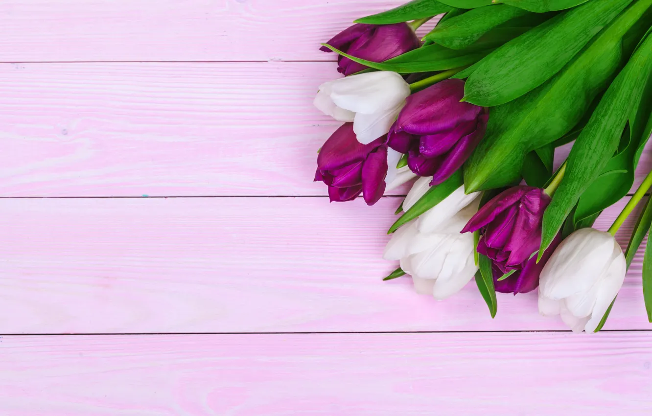 Фото обои цветы, букет, тюльпаны, white, wood, flowers, tulips, purple