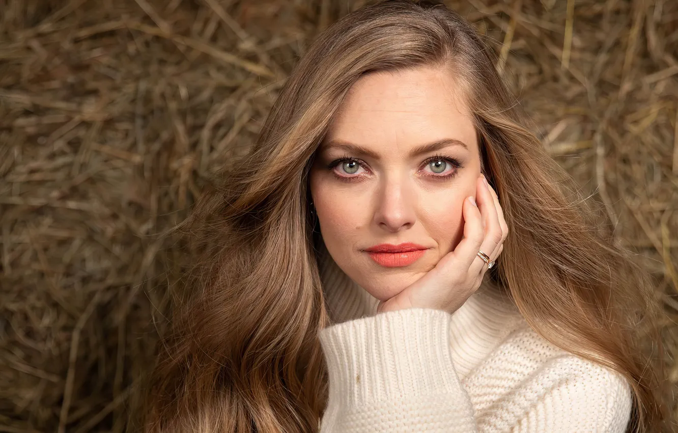Фото обои взгляд, девушка, лицо, волосы, актриса, свитер, Amanda Seyfried