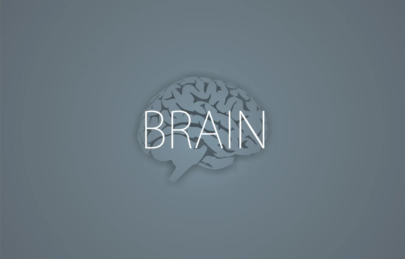 Фото обои надпись, минимализм, серый фон, Brain, мозги