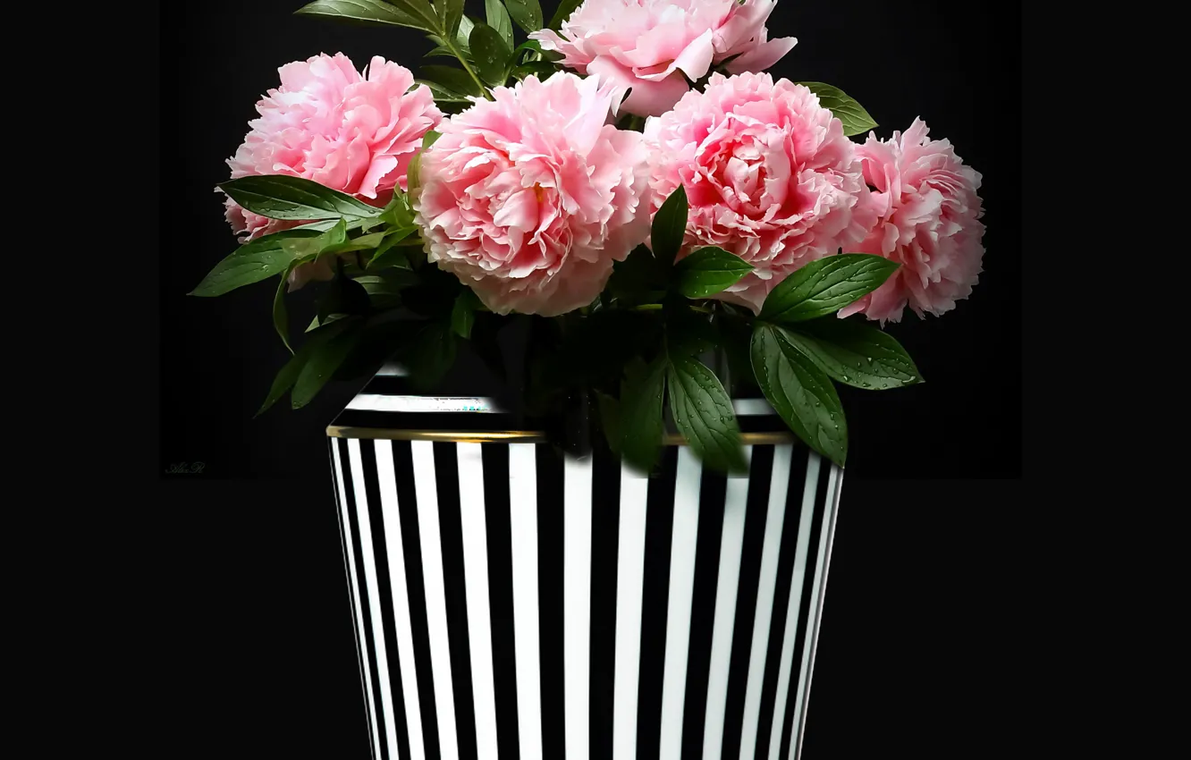 Фото обои vase, bouquet, decoration, peonies, bunch of flower