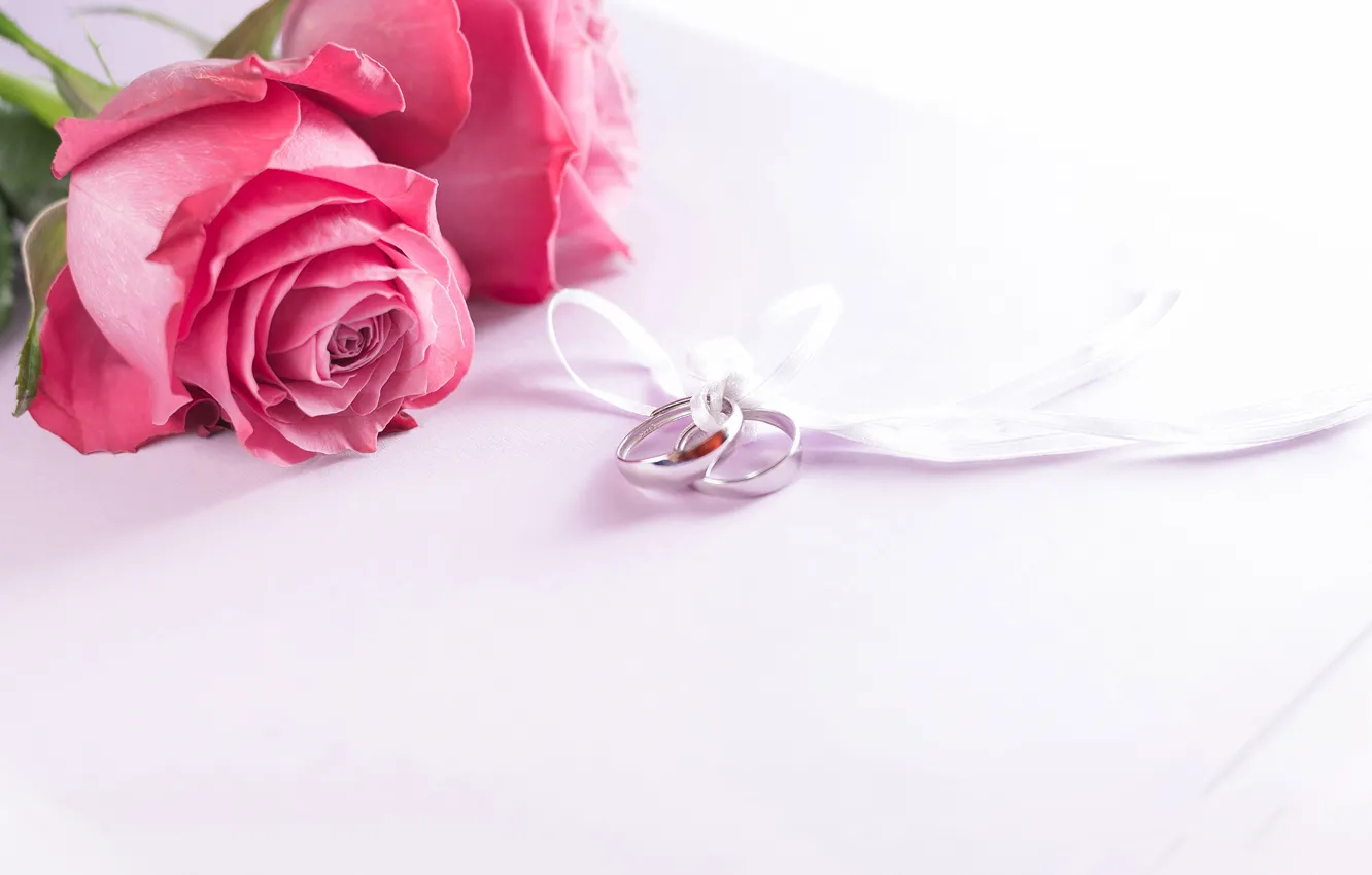 Фото обои розы, кольца, лента