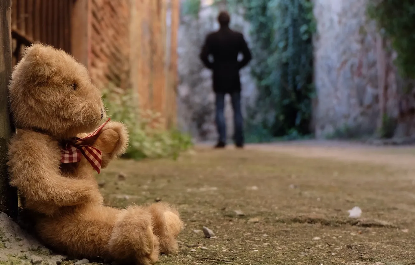 Фото обои грусть, одиночество, игрушка, медведь, мишка, toy, bear, cute