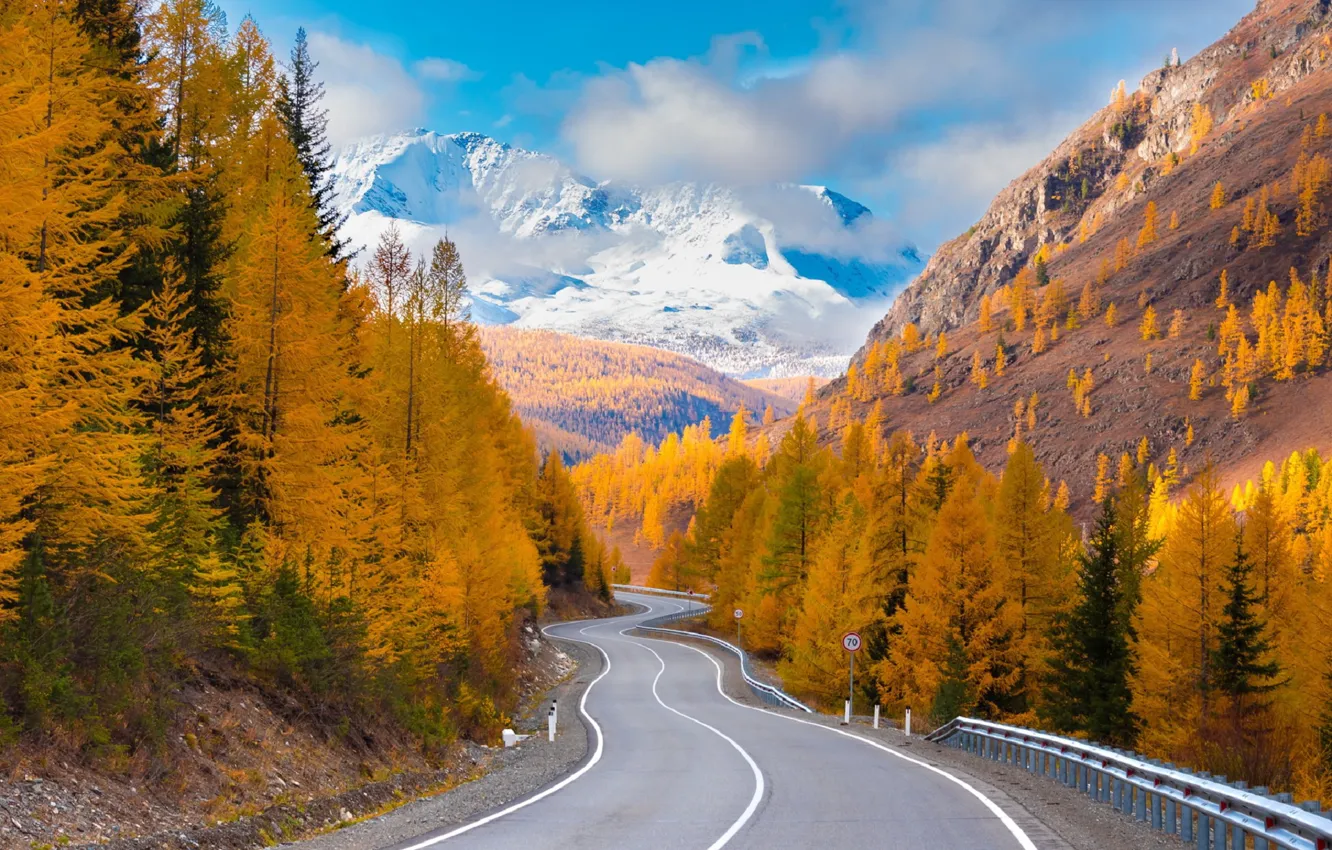 Фото обои дорога, осень, лес, облака, горы, Алтай