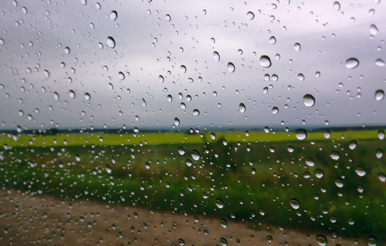 Фото обои поле, небо, капли, дождь, окно