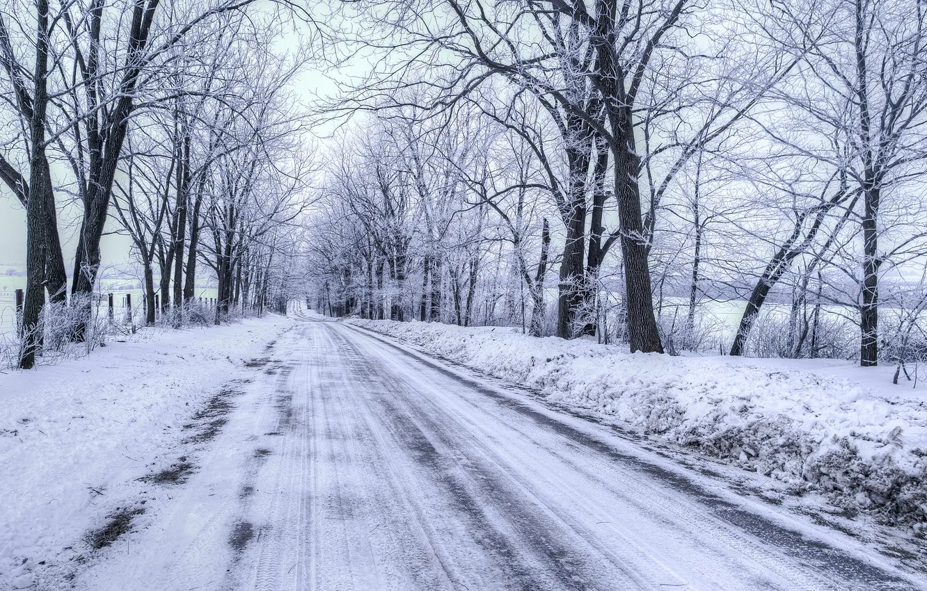 Фото обои зима, дорога, пейзаж
