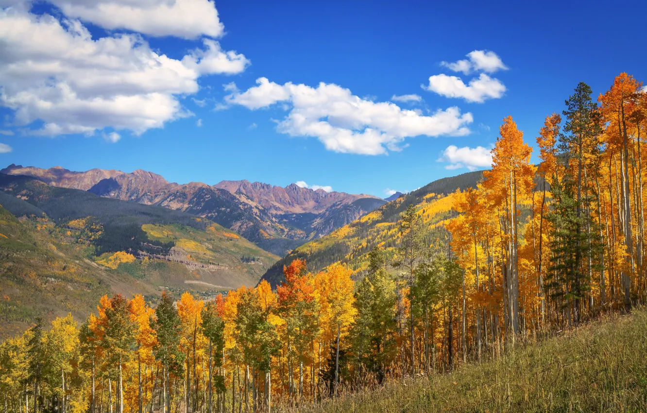 Фото обои осень, лес, небо, солнце, облака, деревья, горы, голубое