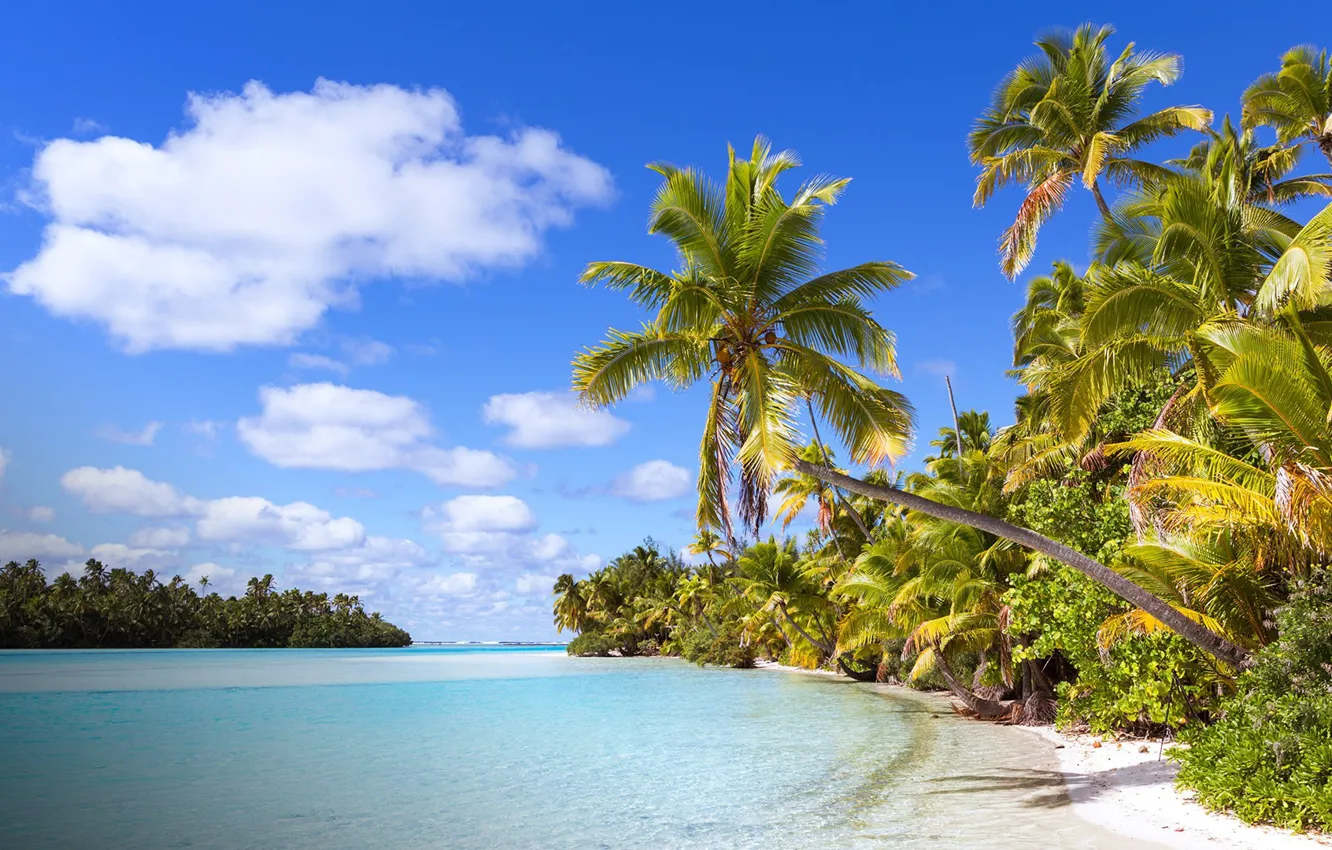 Фото обои пляж, тропики, пальмы, океан, лагуна, Cook Islands, One Foot Island (Tapuaetai), Aitutaki