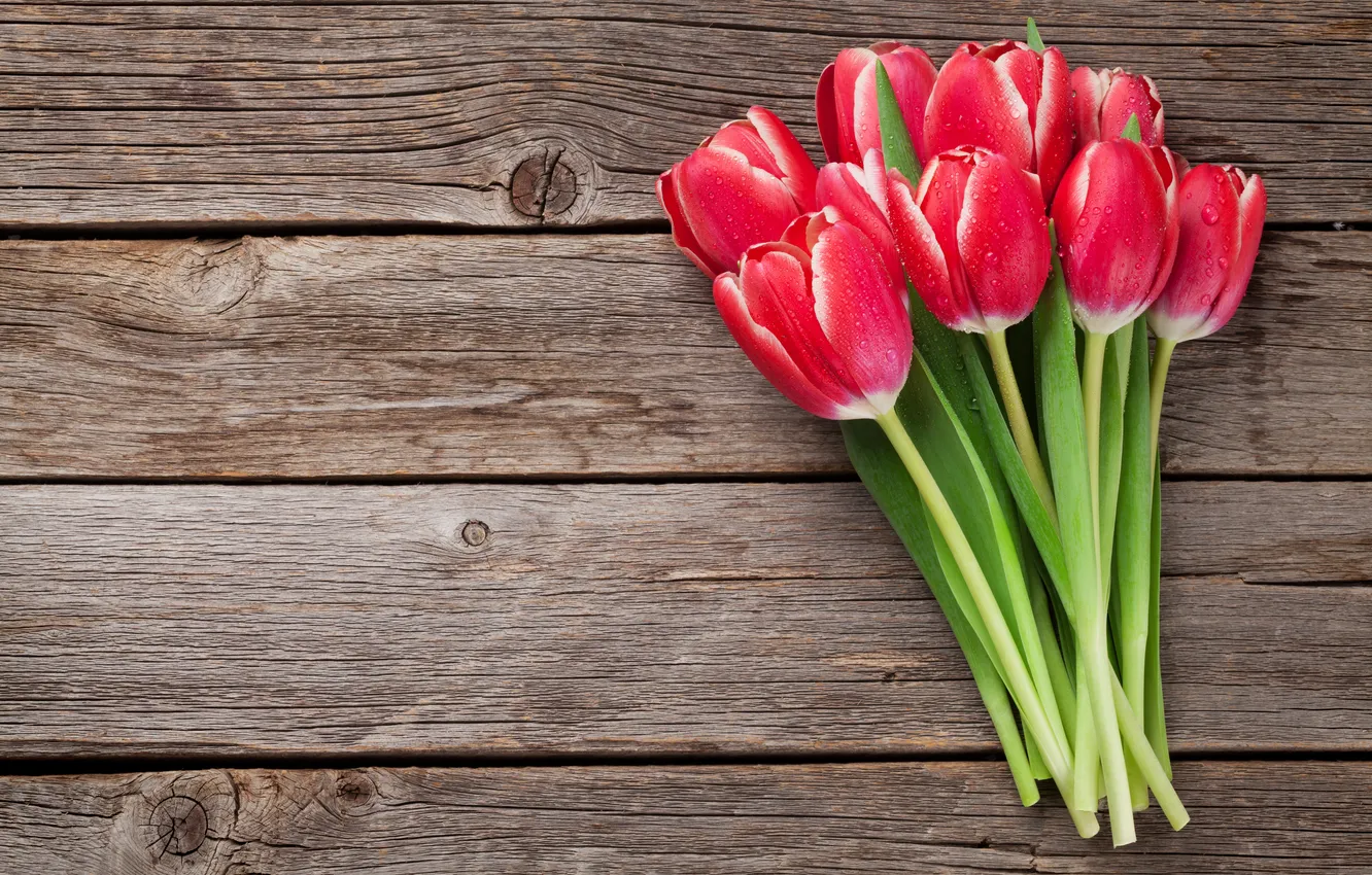Фото обои цветы, букет, тюльпаны, красные, red, wood, flowers, romantic