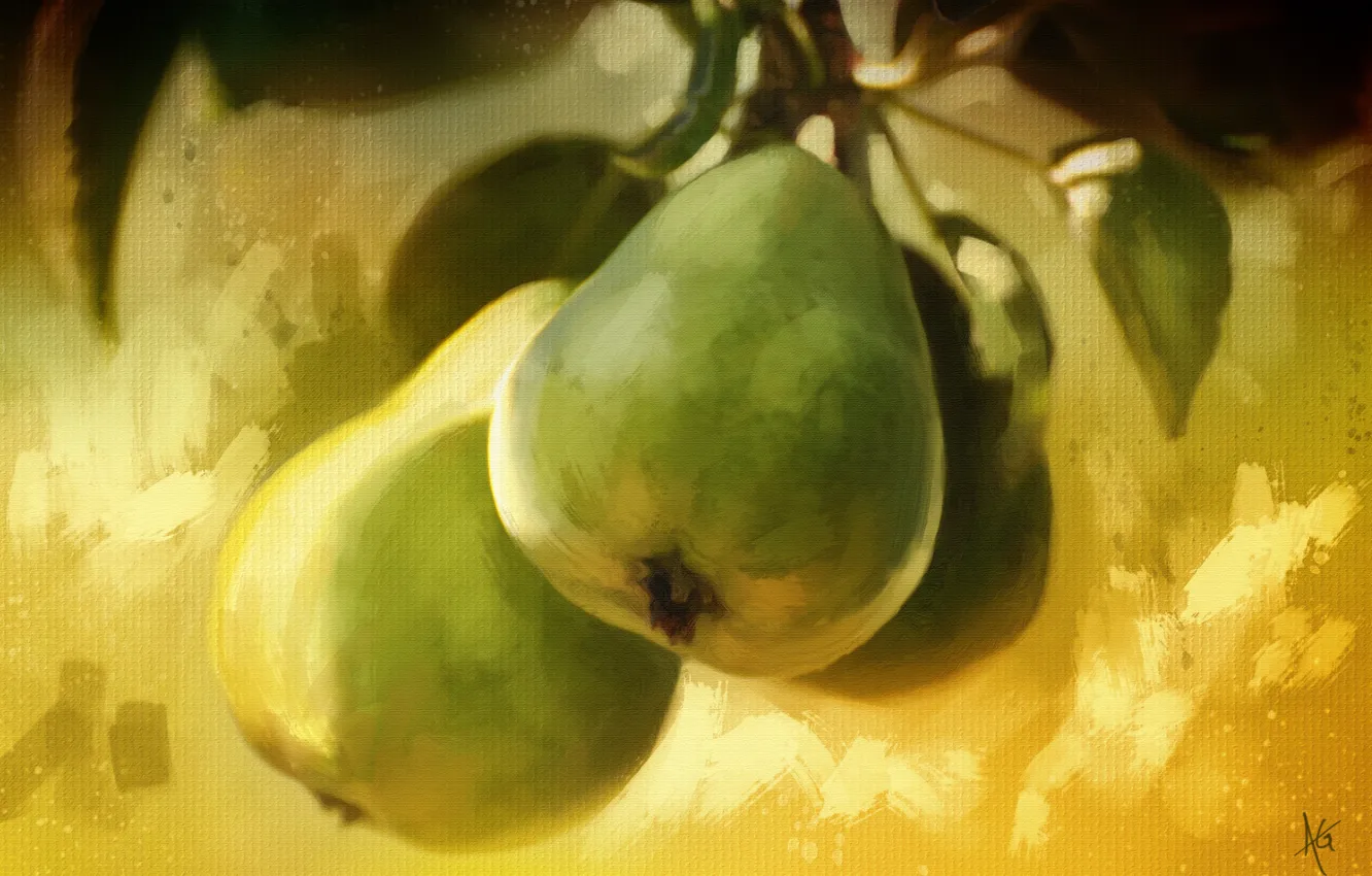 Фото обои листья, ветка, плоды, груша, живопись