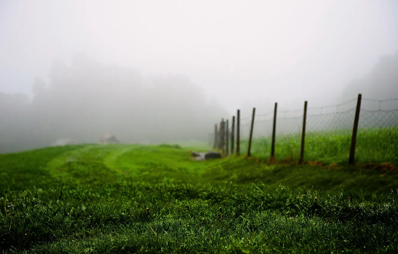 Фото обои поле, туман, забор
