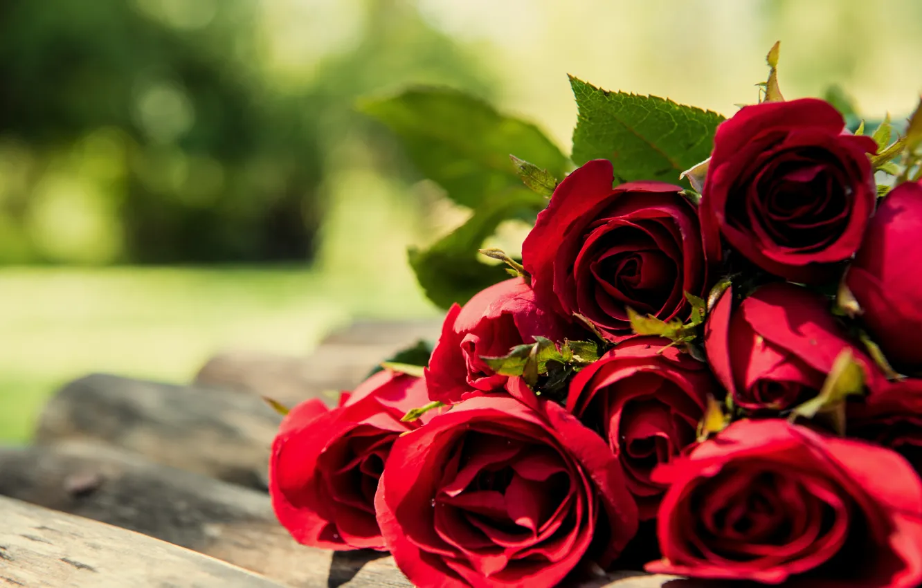 Фото обои букет, red, wood, romantic, roses, красные розы