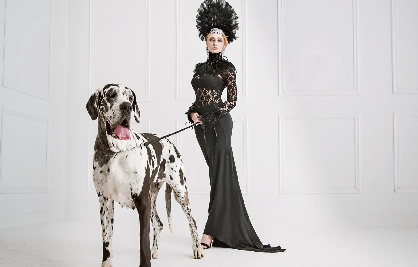 Фото обои украшения, поза, собака, перья, макияж, фигура, стройная, платье
