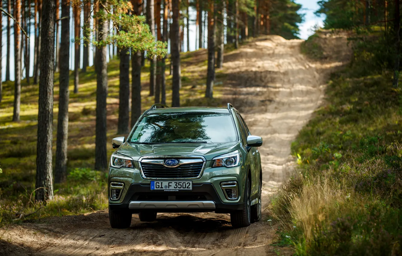 Фото обои спуск, Subaru, кроссовер, Forester, 2019