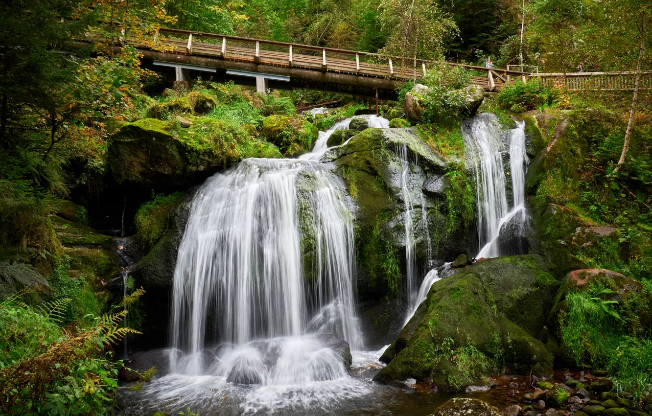 Фото обои мост, камни, скалы, водопад