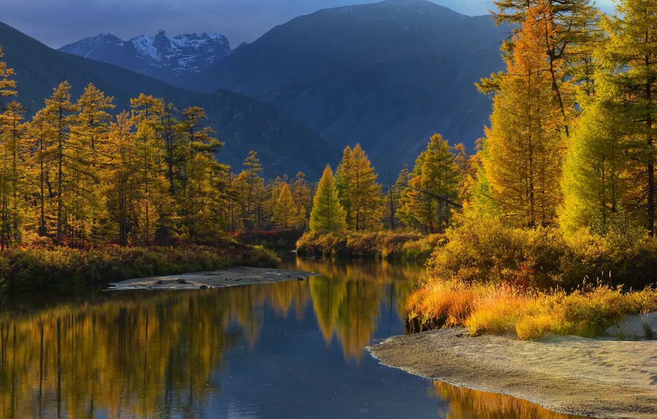Фото обои осень, лес, вода, свет, горы, природа, река, Максим Евдокимов