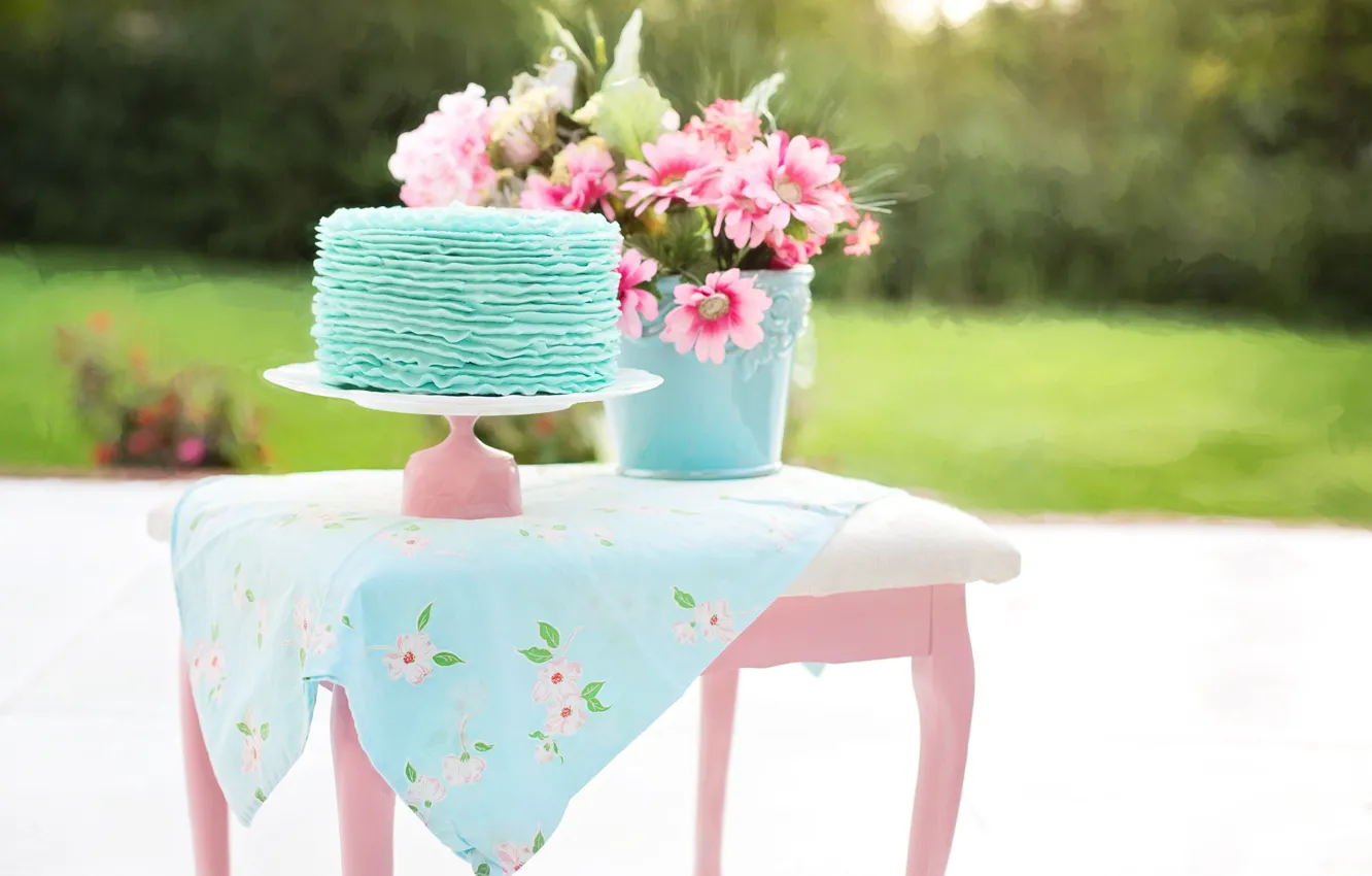 Фото обои цветы, природа, стол, ведро, торт