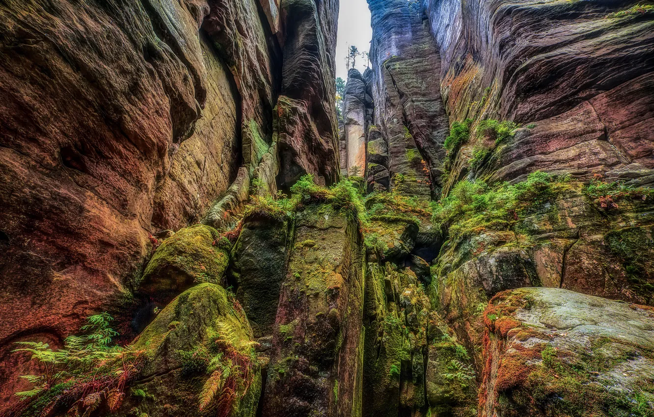 Фото обои скалы, мох, rocks, moss, Slawomir Kowalczyk