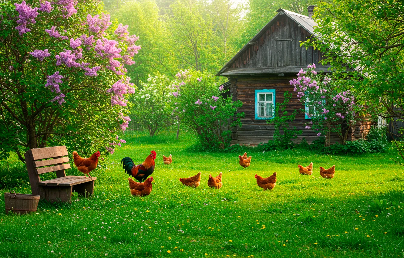 Фото обои трава, весна, деревня, лавочка, домик, house, grass, сирень