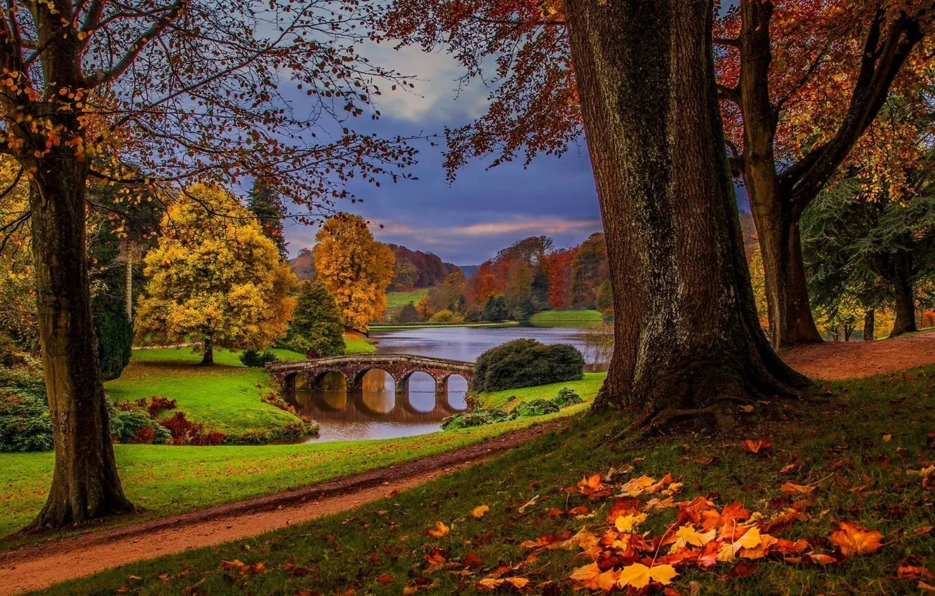 Фото обои river, trees, nature, bridge