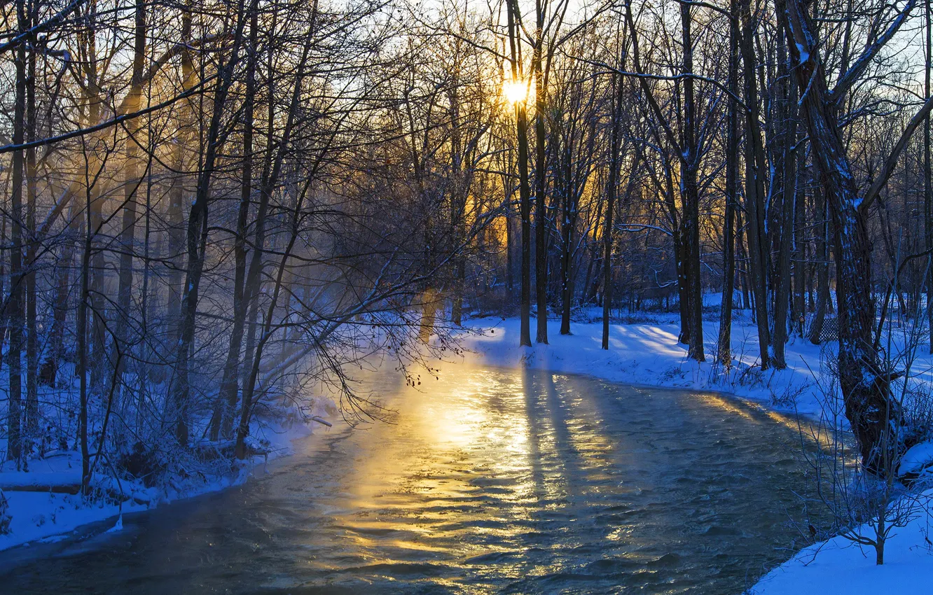 Фото обои зима, лес, деревья, река, утро, мороз
