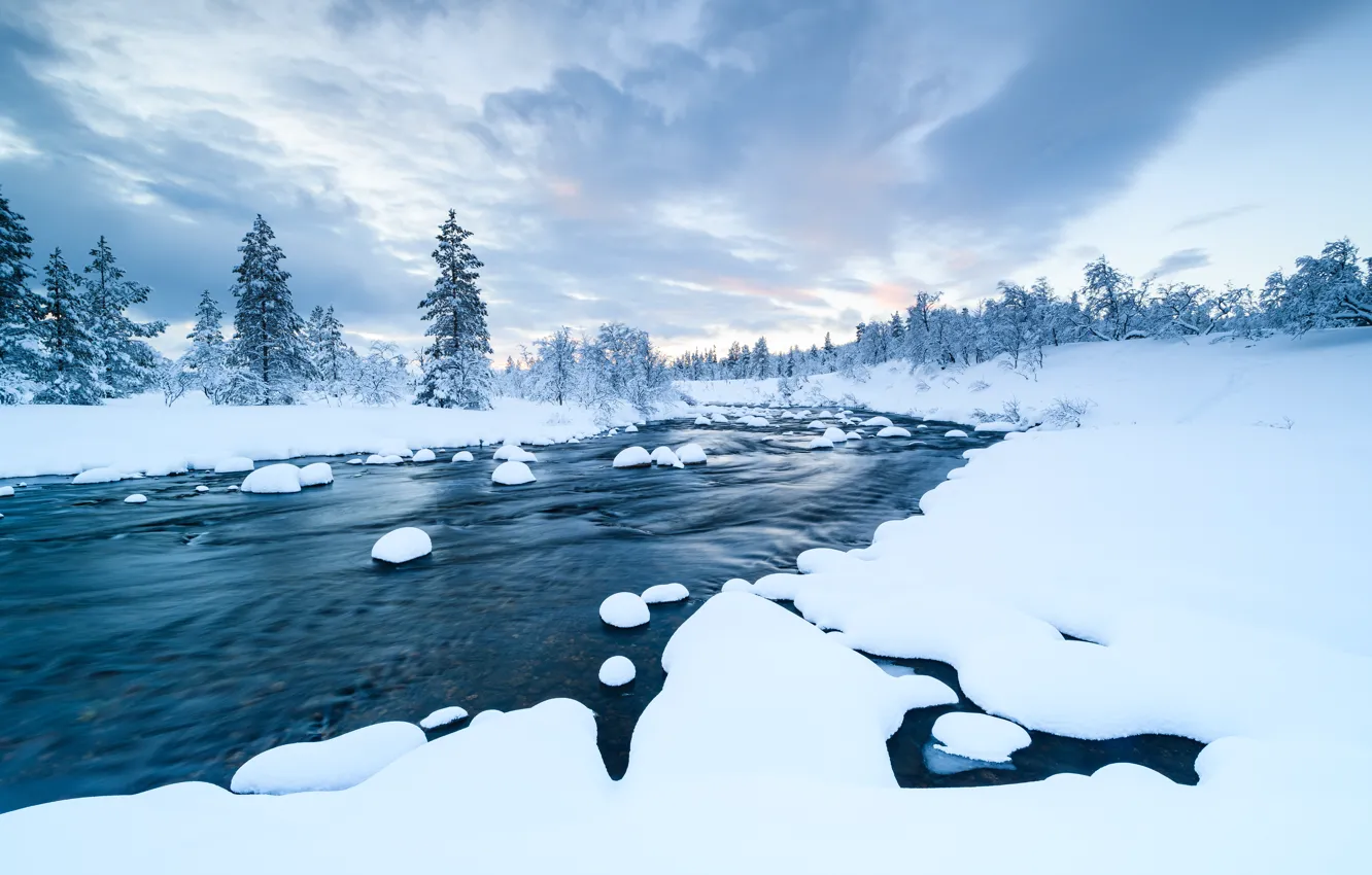 Фото обои зима, снег, деревья, пейзаж, река, forest, river, trees