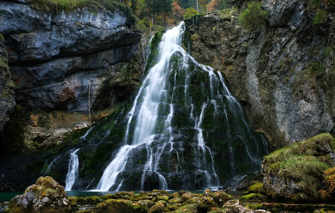 Фото обои лес, деревья, скала, камни, высота, водопад, мох, Австрия
