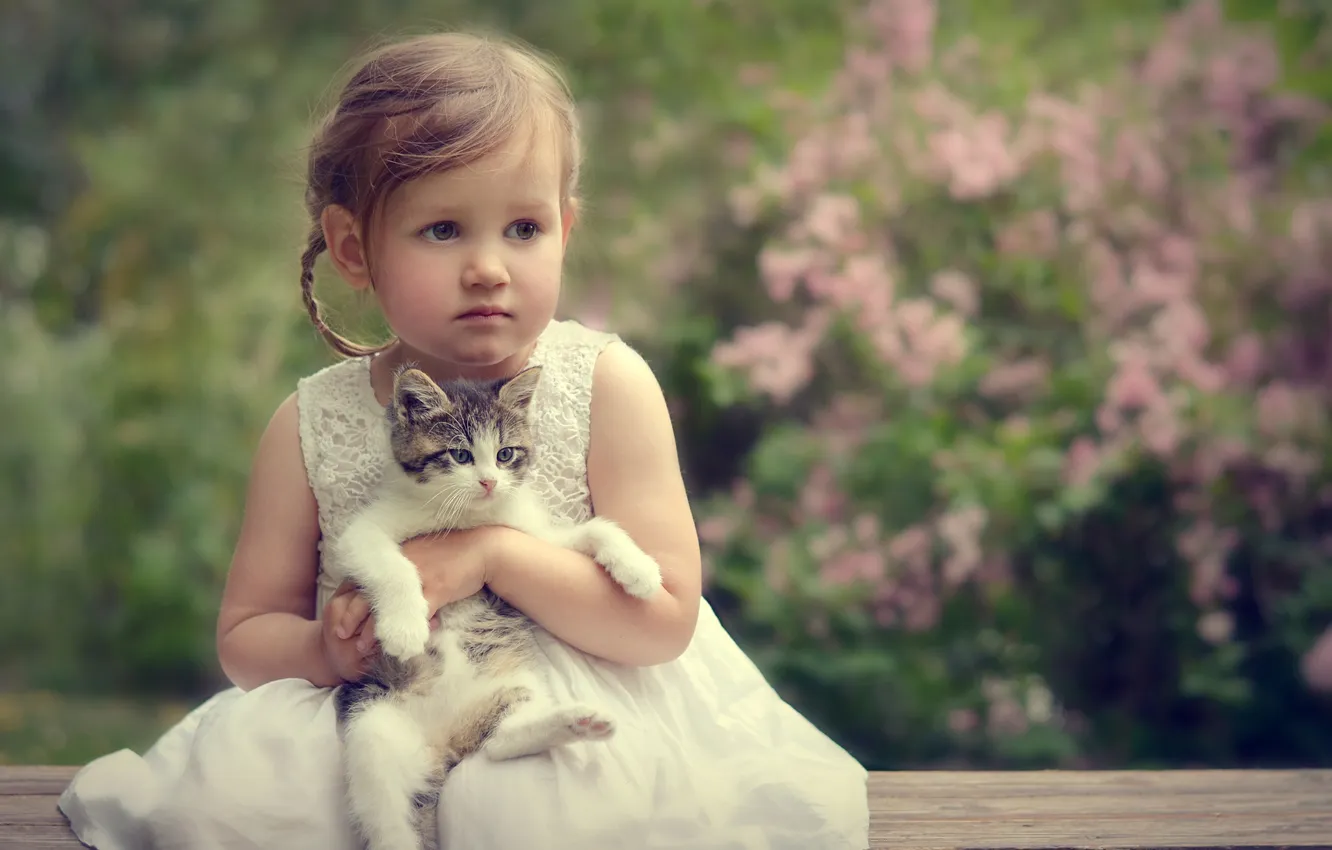 Фото обои портрет, девочка, котёнок
