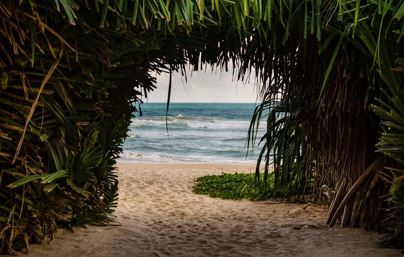 Фото обои beach, landscape, nature
