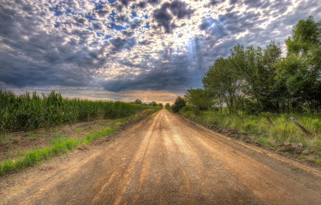 Фото обои дорога, поле, облака, кукуруза, лучи солнца