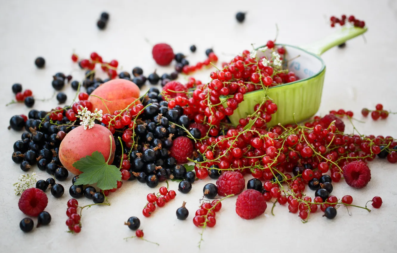 Фото обои ягоды, малина, еда, черная, фрукты, красная, смородина, абрикосы