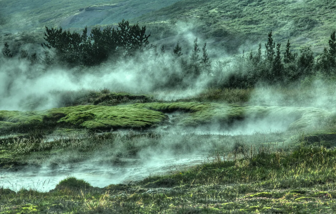Фото обои green, grass, trees, nature, water, fog, Iceland, geothermal area