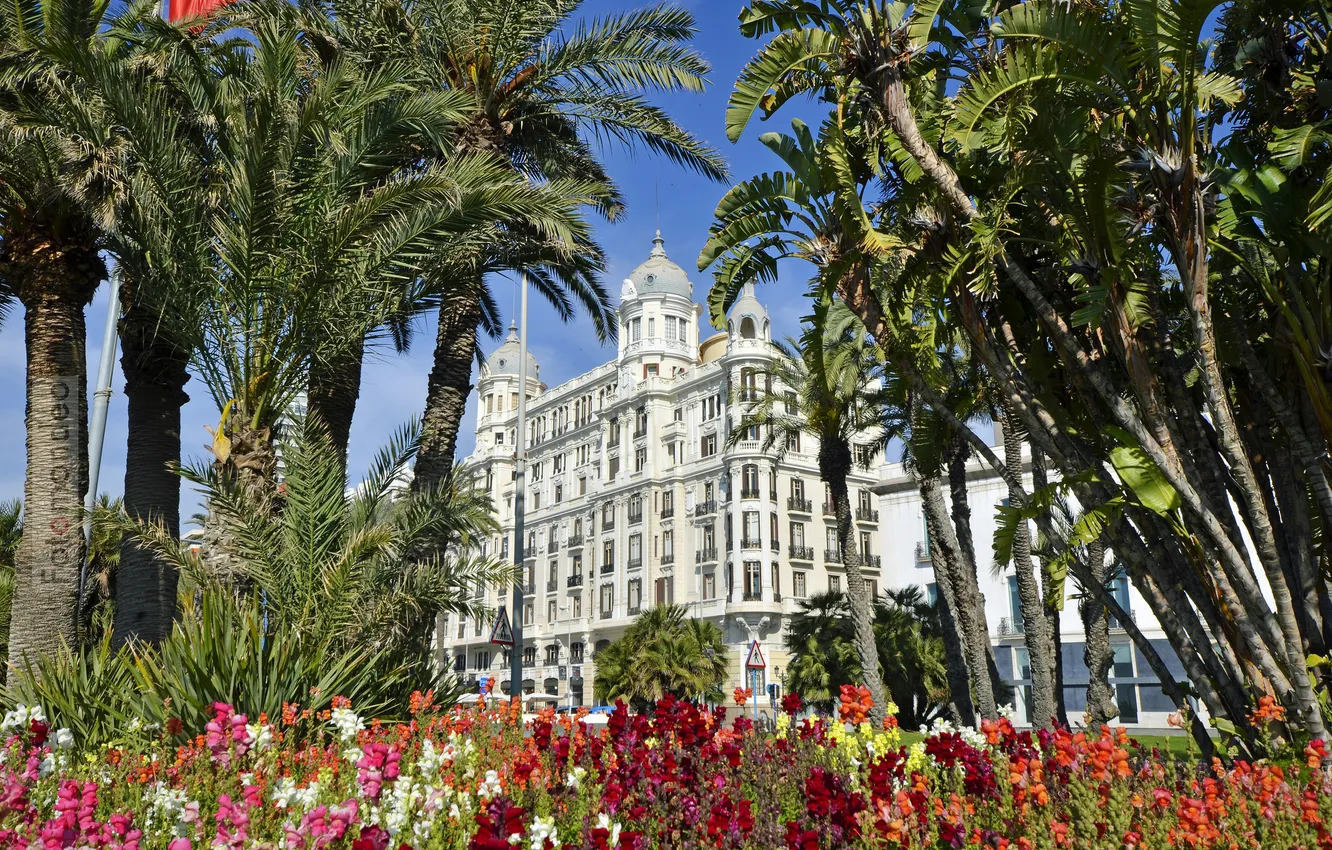 Фото обои цветы, пальмы, здание, Испания, Spain, Valencia, Валенсия, Alicante