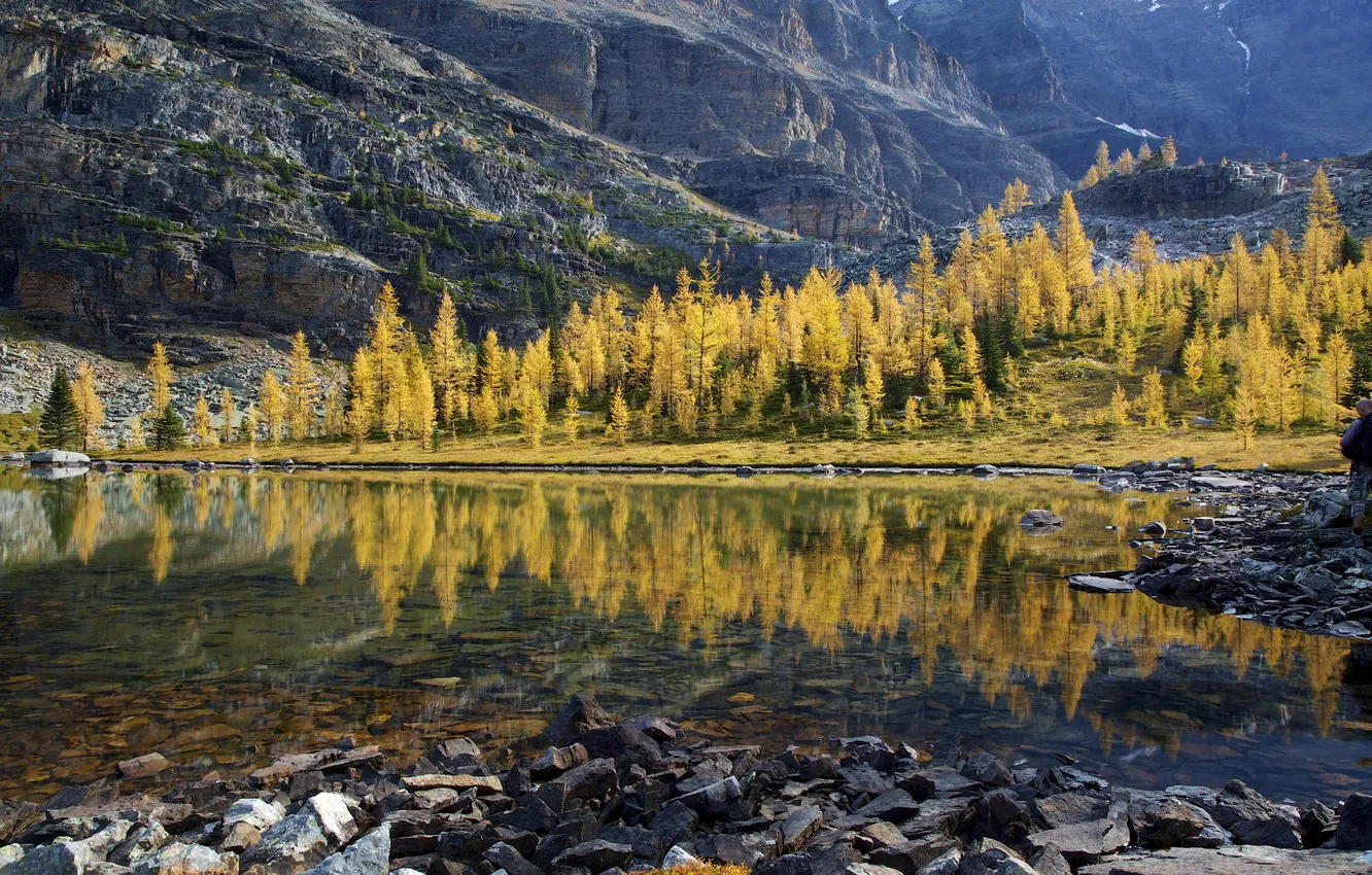 Фото обои осень, лес, деревья, горы, озеро