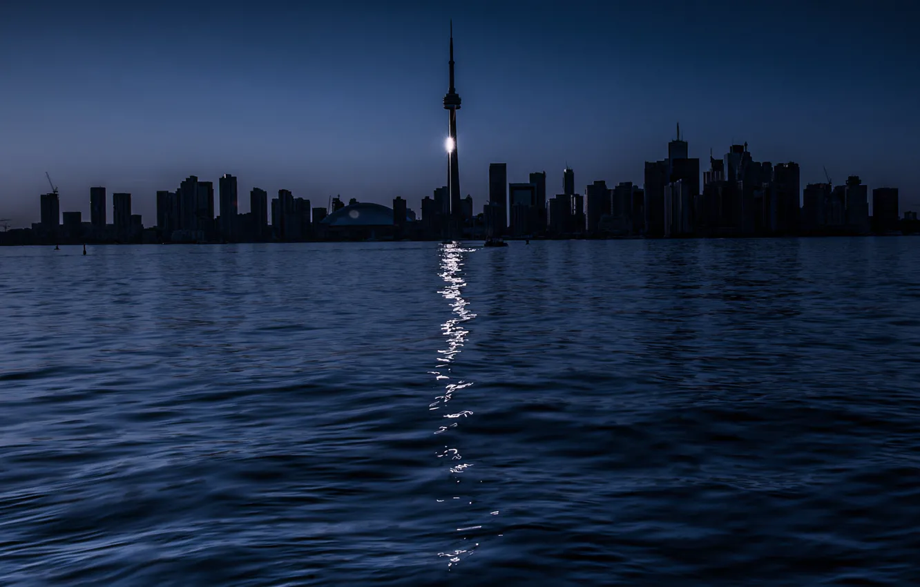 Фото обои ночь, озеро, Торонто, лунная дорожка