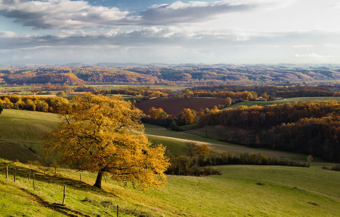 Фото обои осень, деревья, холмы, поля