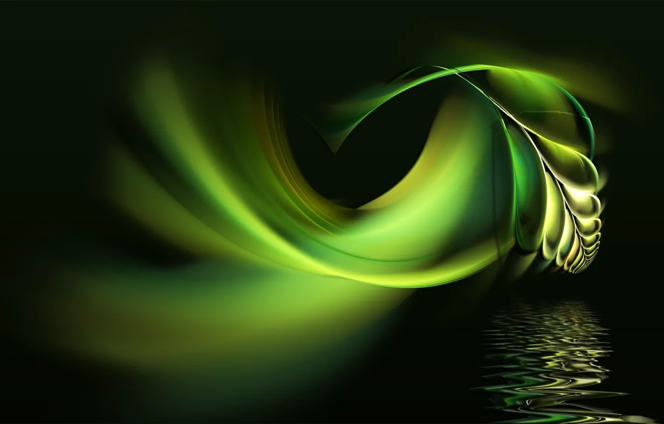 Фото обои вода, абстракция, фон, перо, чёрный, обои, зеленое