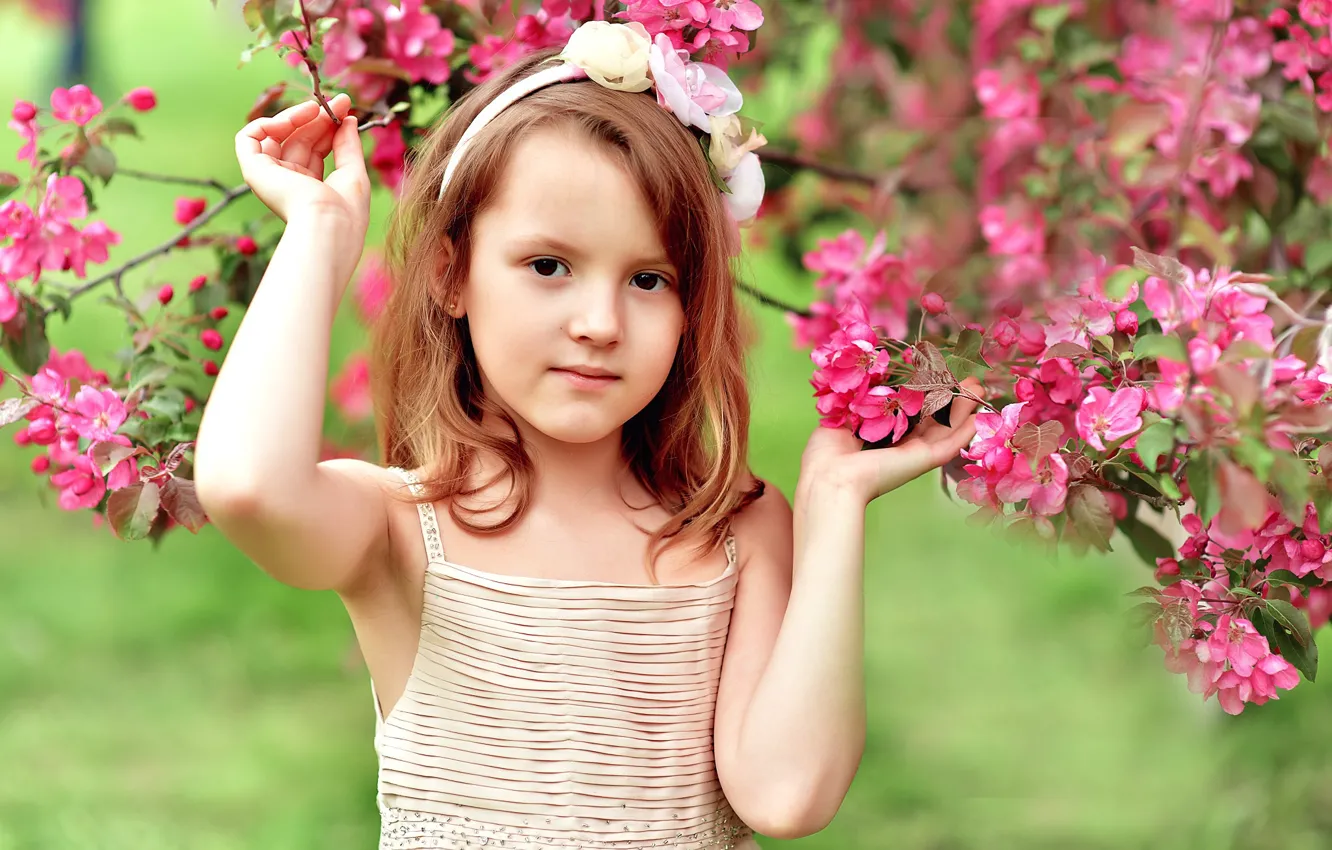 Фото обои цветы, дерево, весна, девочка