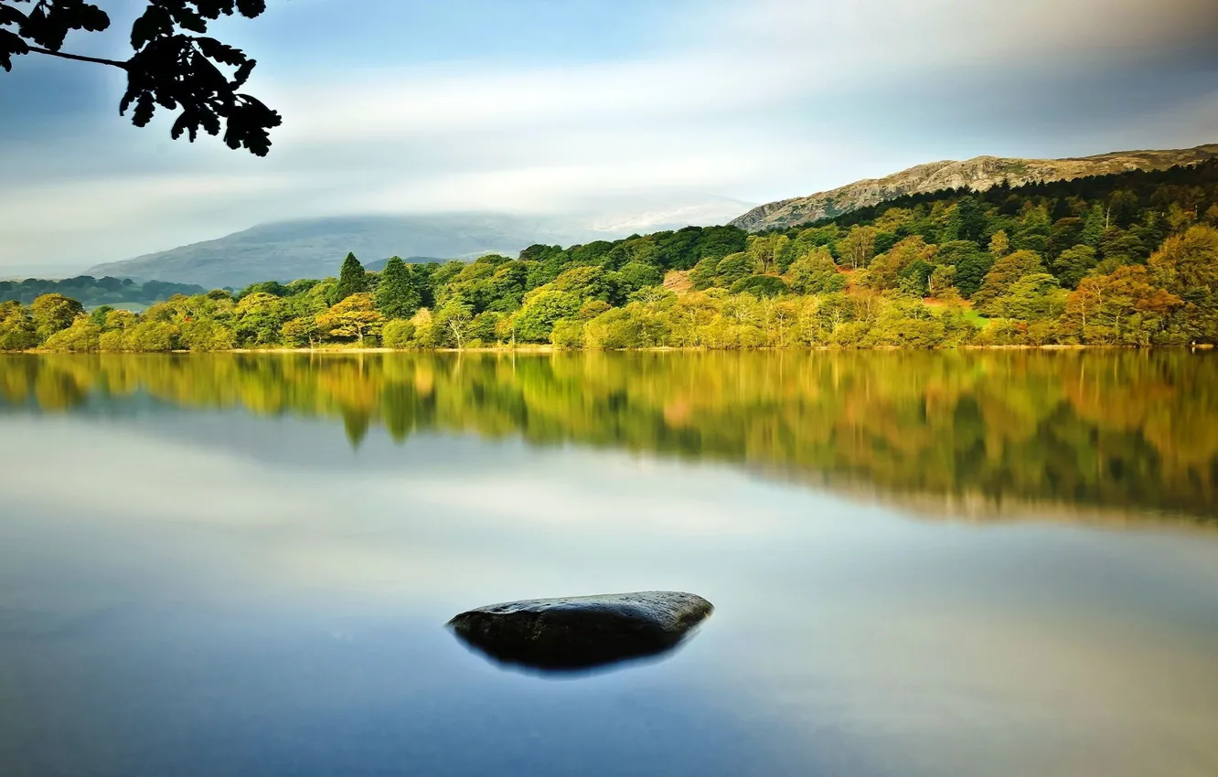 Фото обои лес, горы, природа, река