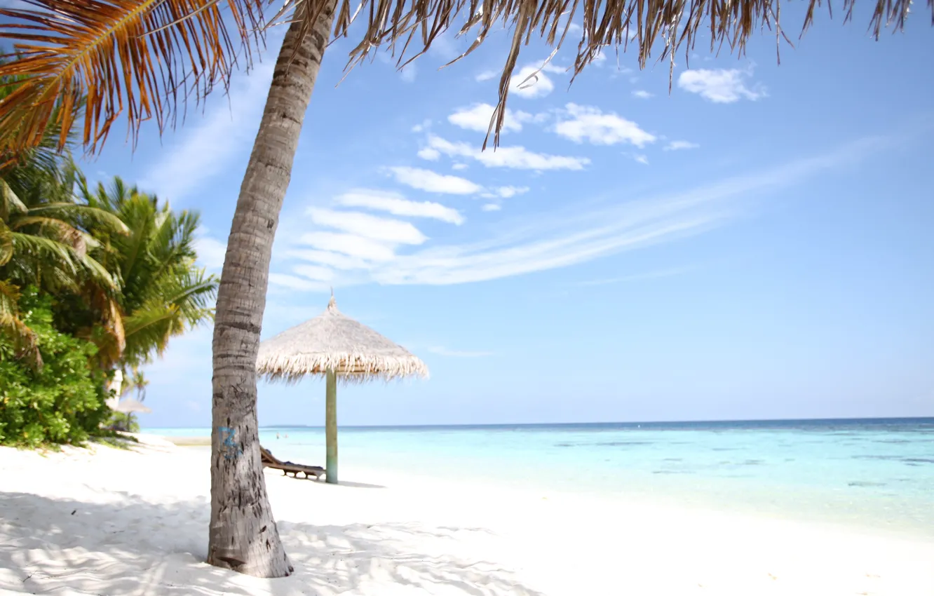 Фото обои отдых, остров, шезлонг, мальдивы, белый песок, сейшелы
