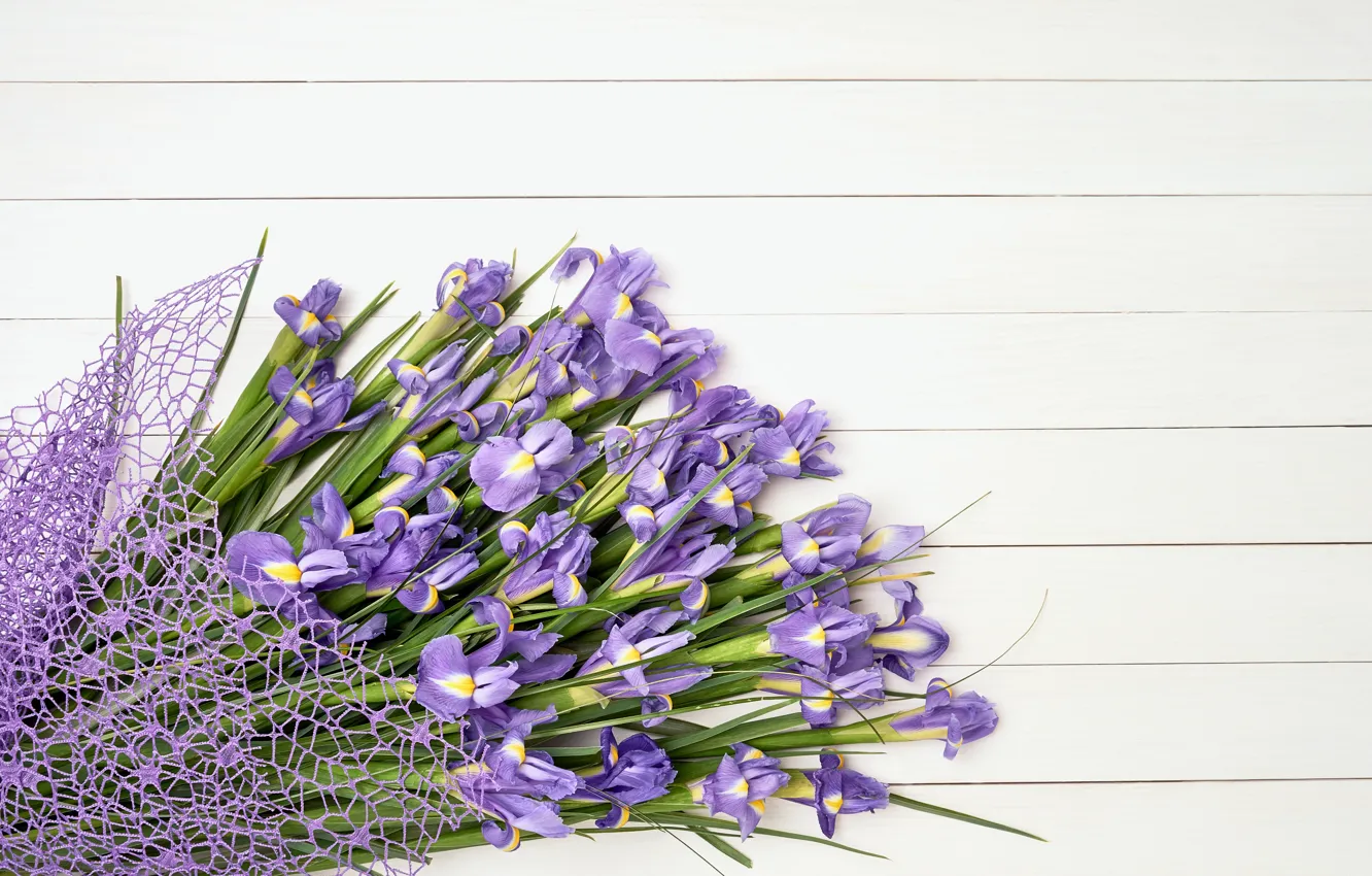 Фото обои цветы, букет, ирисы, flowers, purple, iris